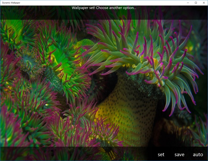 Dynamic Wallpaper — фото дня Bing для рабочего стола или начального экрана