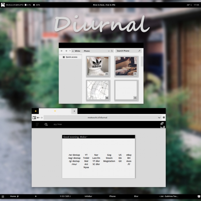 Diurnal W10    