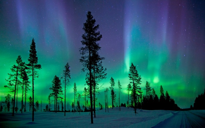 The Northern Lights      