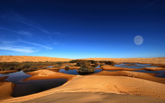 In the Desert — отправляемся в царство песка
