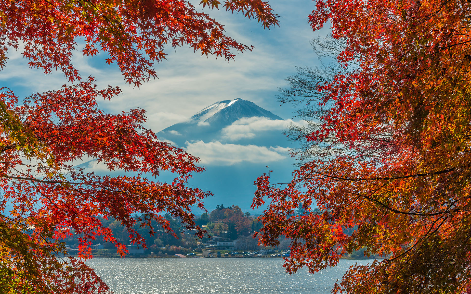 Autumn Colors — яркие цвета осени