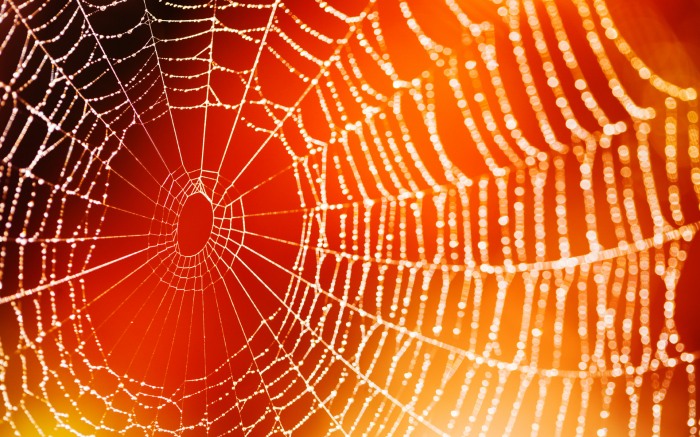 Cobwebs — паутина на рабочем столе