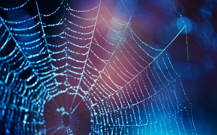 Cobwebs — паутина на рабочем столе