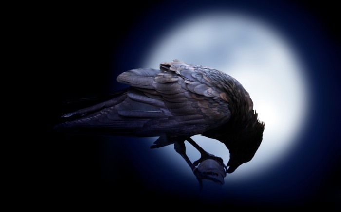 Call of the Raven    