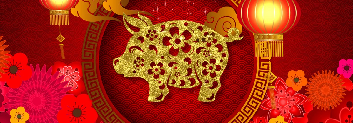 Year of the Pig    