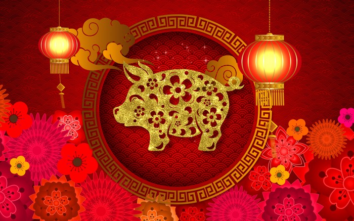 Year of the Pig    