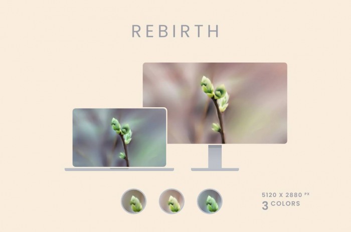 Rebirth — нежные обои для рабочего стола