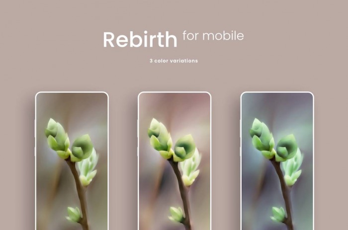 Rebirth — нежные обои для рабочего стола